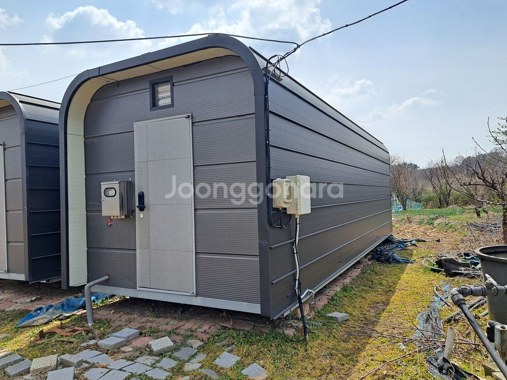 새싹인삼 컨테이너--2