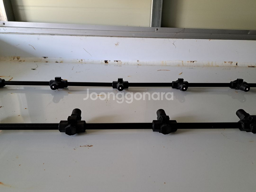 새싹인삼 컨테이너--6