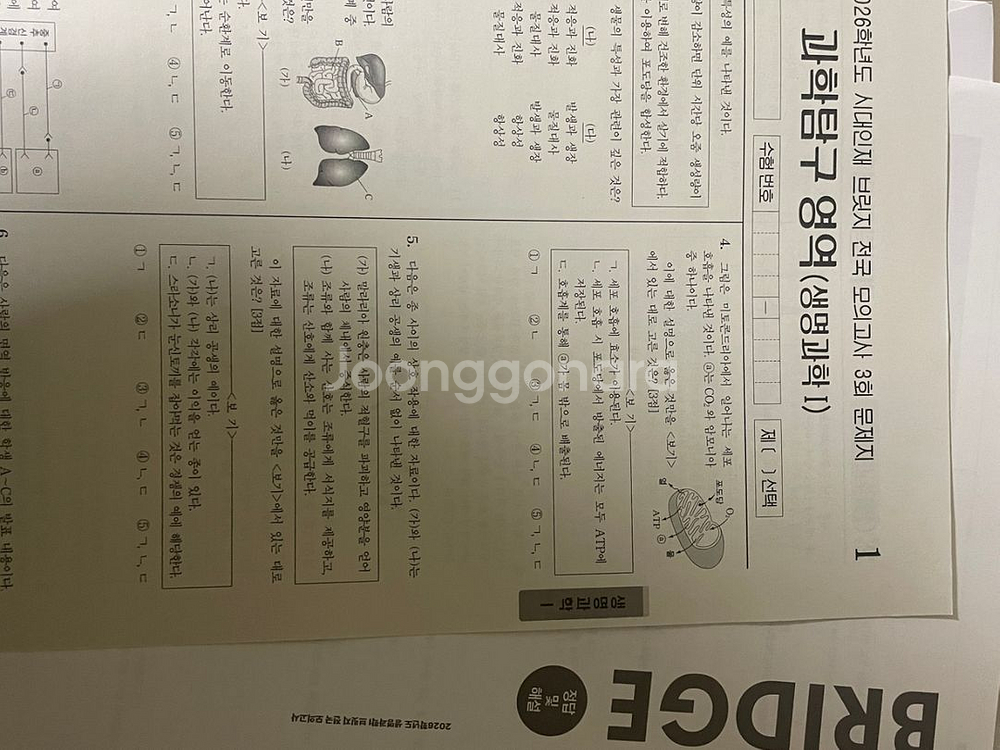 2026 시대인재 생명 브릿지--0