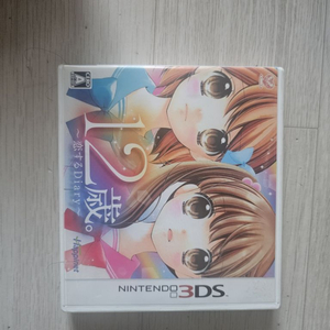 닌텐도3ds 12살 사랑하는 다이어리