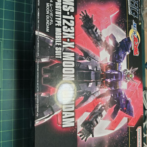 HG 1/144 AMS-123X-X 문 건담