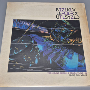 푸른하늘 5집 LP판