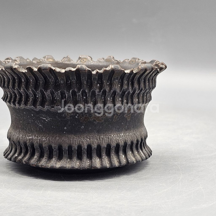 아프리카식물과 어울리는 코덱스팟--3