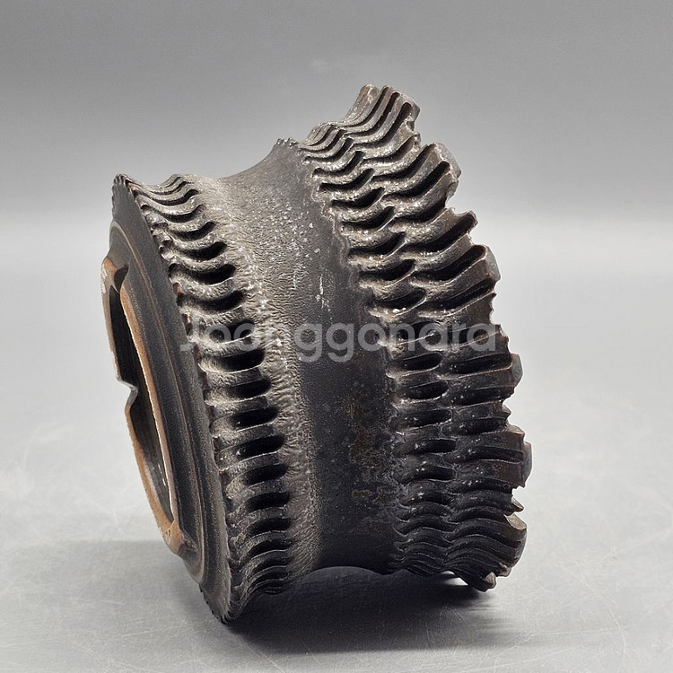 아프리카식물과 어울리는 코덱스팟--4