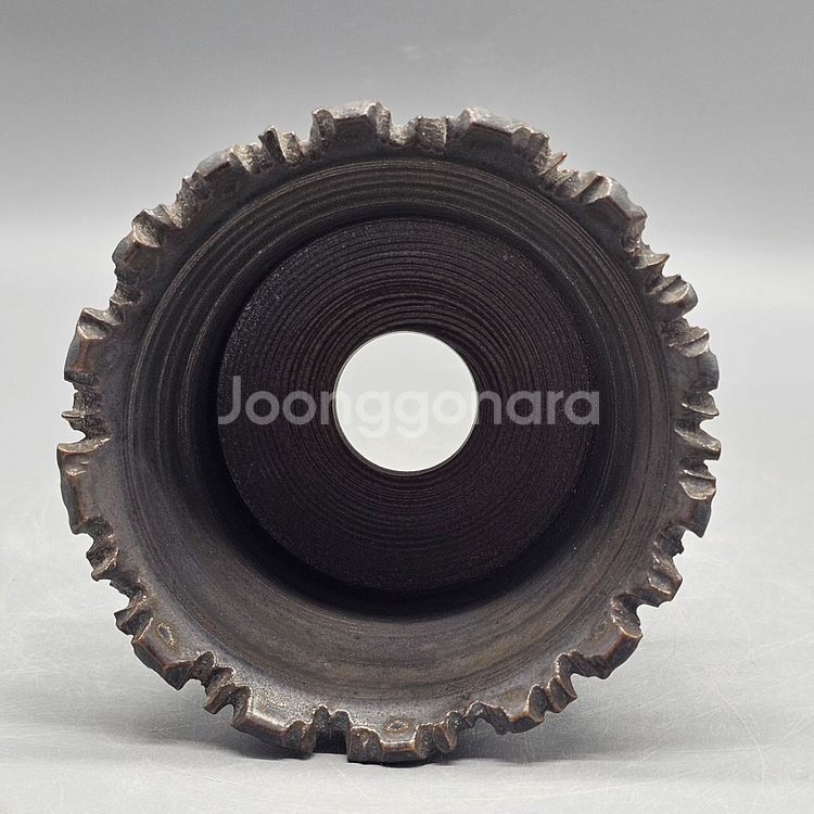 아프리카식물과 어울리는 코덱스팟--5