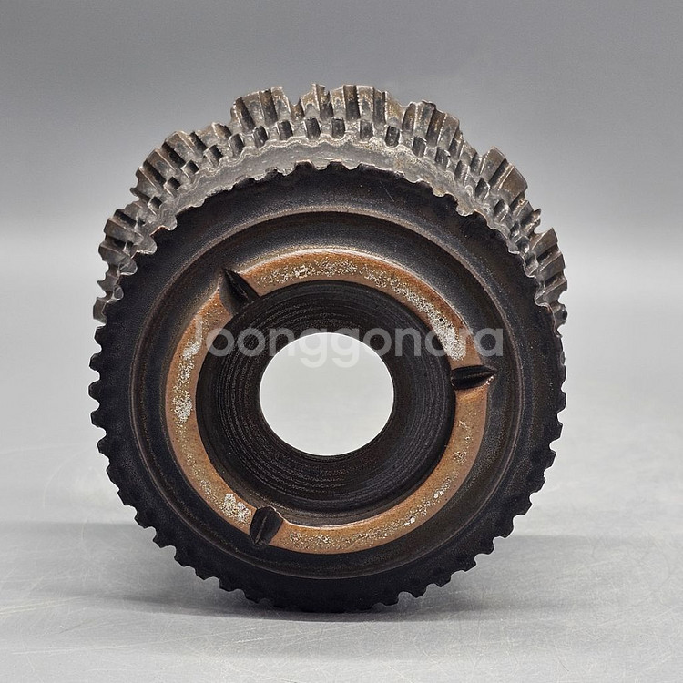 아프리카식물과 어울리는 코덱스팟--6