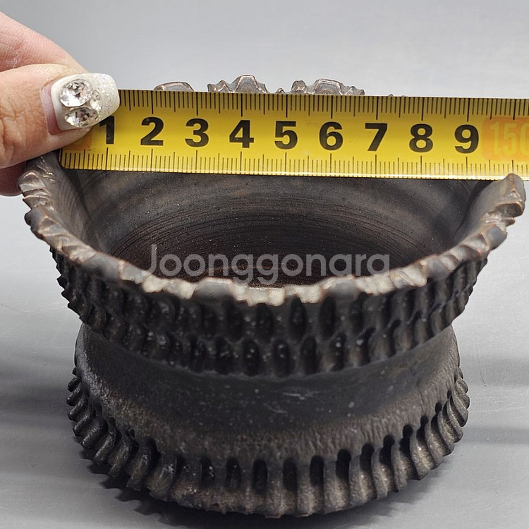 아프리카식물과 어울리는 코덱스팟--9