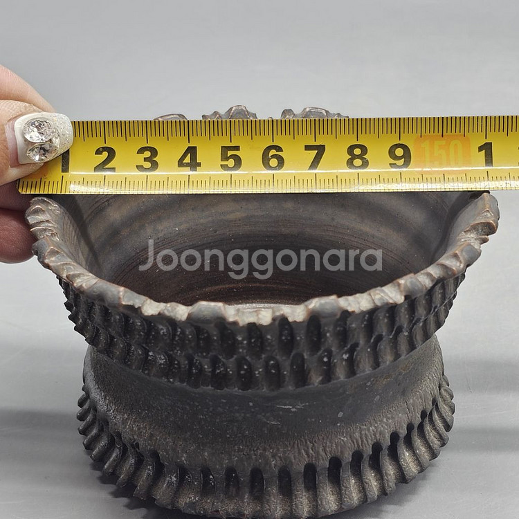 아프리카식물과 어울리는 코덱스팟--8