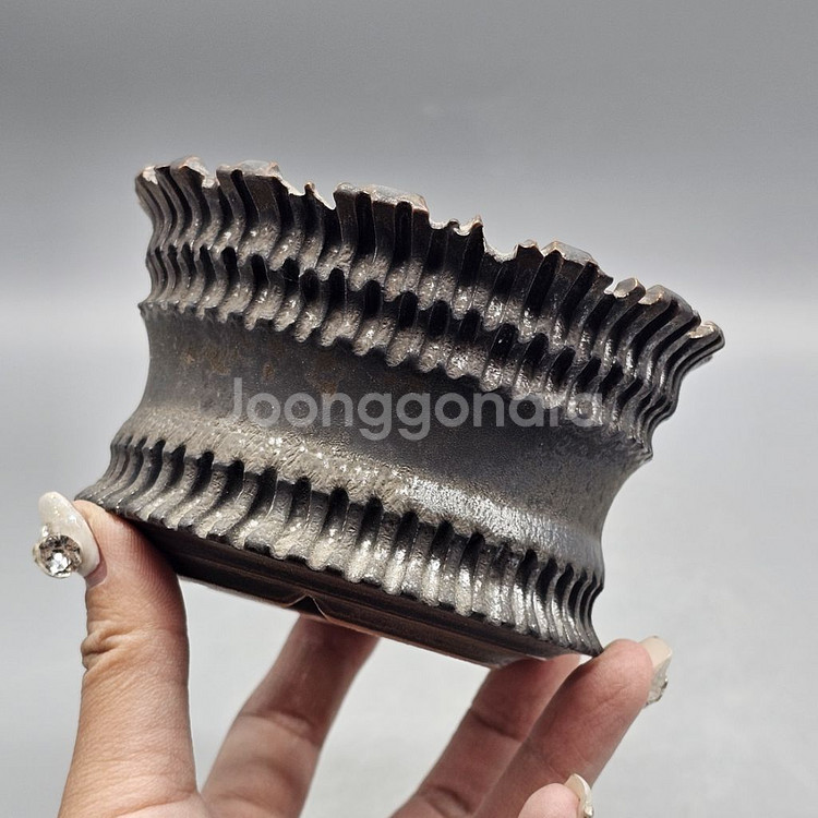 아프리카식물과 어울리는 코덱스팟--0