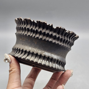 아프리카식물과 어울리는 코덱스팟