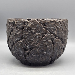 코덱스팟 (아프리카식물 그락 괴근식물 선인장 화분)