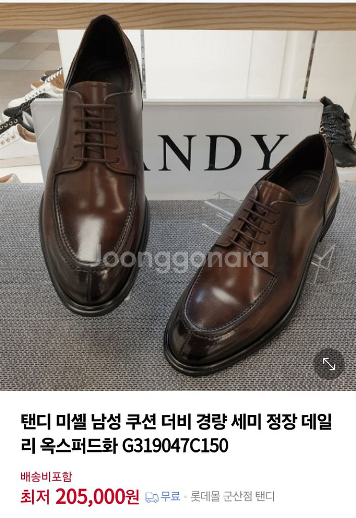 탠디 남자구두 275--4