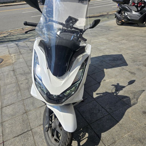 22년식 pcx
