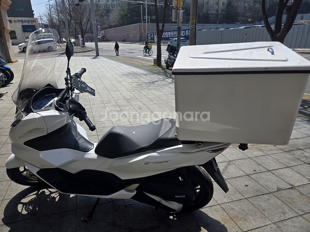 22년식 pcx--2