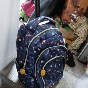 손잡이, 바퀴 있는 아동용 캐리어