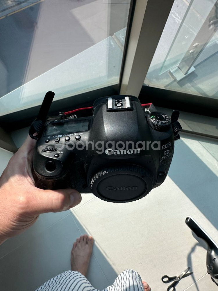 캐논 EOS 5D MK IV DSRL 카메라 (오막포)--5