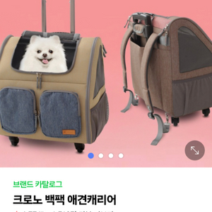 강아지이동 캐리어