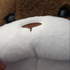 딸수인형