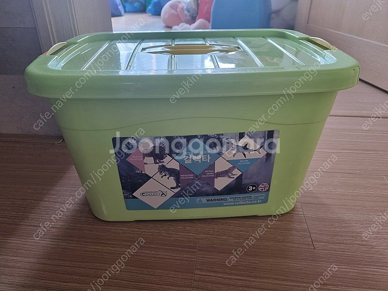 컬렉타(실제 모습 그대로 공룡모형)--4