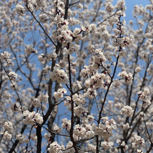 A7m3, a7r3, A7c 저렴하게 팔아주실분