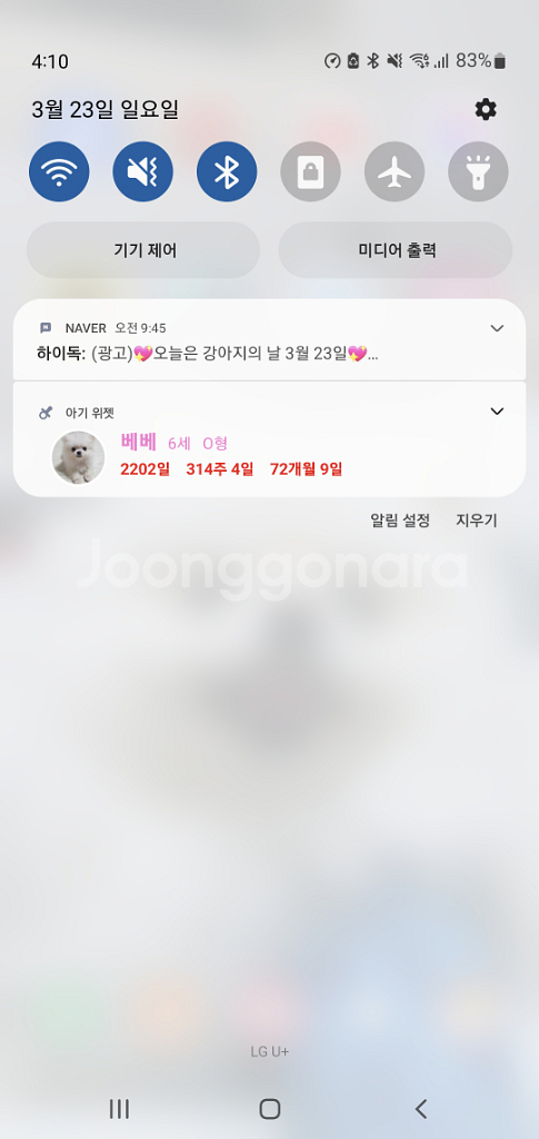 피카노리 미키 에디션 (미니 리본모양)--1