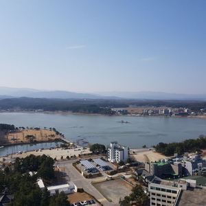 모든대학 에타