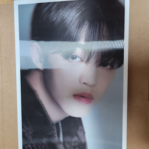 세븐틴 디스패치 10주년 디아이콘 디페스타