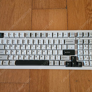 독거미 경해축 f99 판매--1