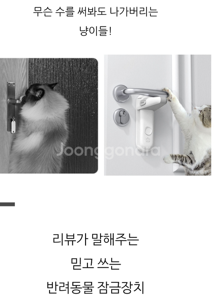 고양이 도어락 문열림 안전 잠금장치--5