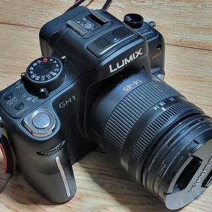 GH1 파나소닉 루믹스 Lumix 디지털 사진기 판매