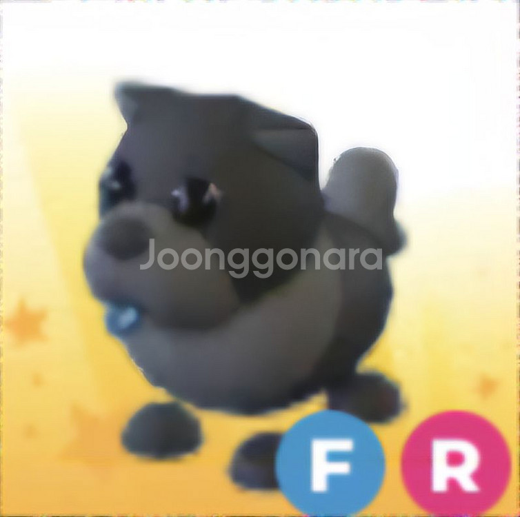 입양하세요 사진있는 펫들 ㅍㅍ(가격제시 ㄱㄴ)--1