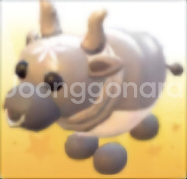 입양하세요 사진있는 펫들 ㅍㅍ(가격제시 ㄱㄴ)--5