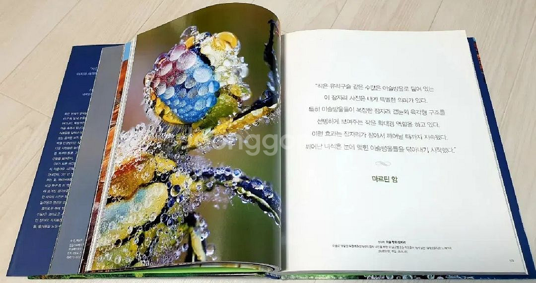 내셔널 지오그래픽 사진 화보집 <보기 드문 사진들> 한--3