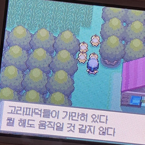 알로항 머니 삽니다