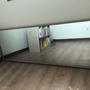 오늘의 집 전신거울 600