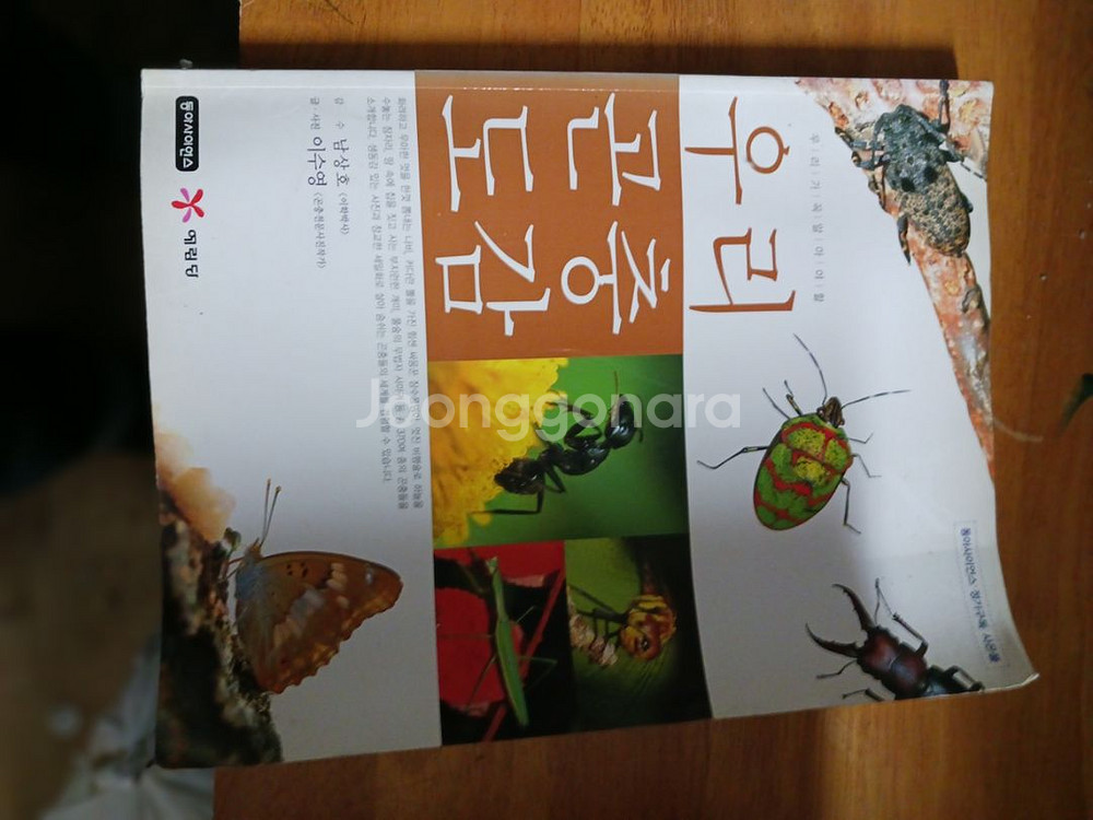 보그명품책,캘리포니아,초등독서평설,곤충도감,종이접기--6