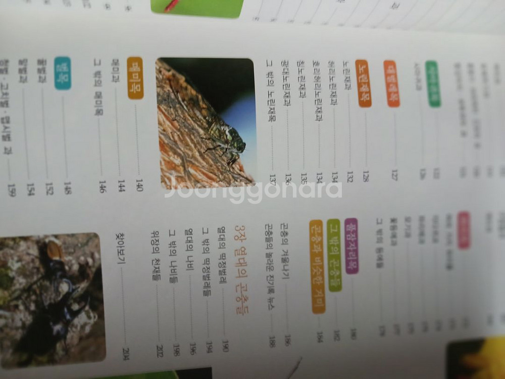 보그명품책,캘리포니아,초등독서평설,곤충도감,종이접기--7