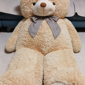 곰인형 곰돌이인형