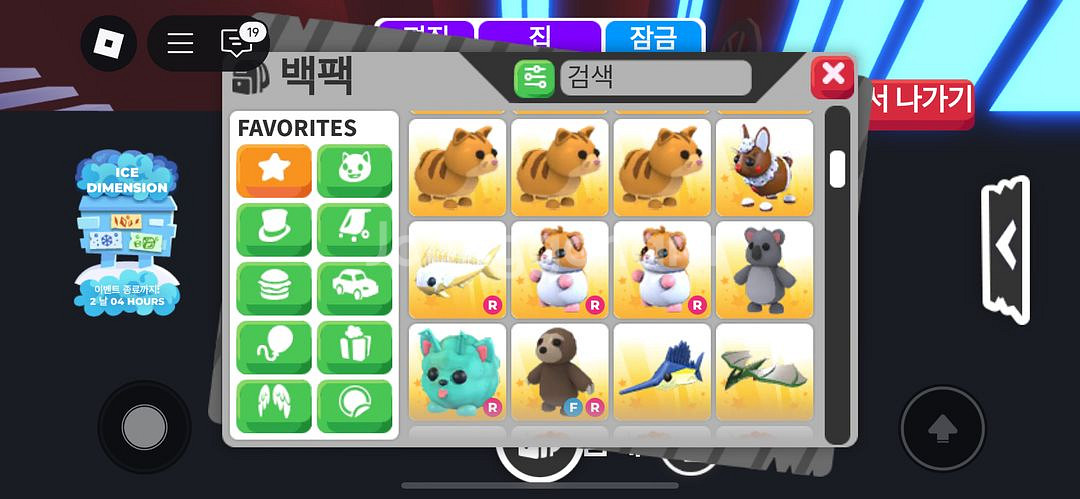입양하세요 펫 판매--1