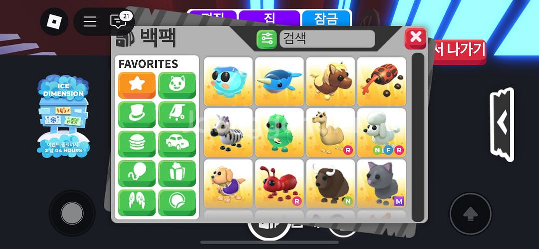 입양하세요 펫 판매--3