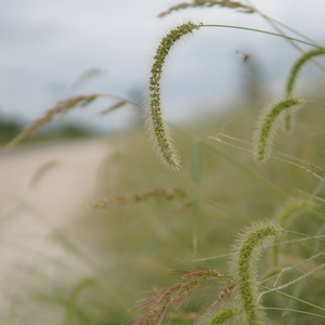후지필름 렌즈 XF,XC,탐론,기타...