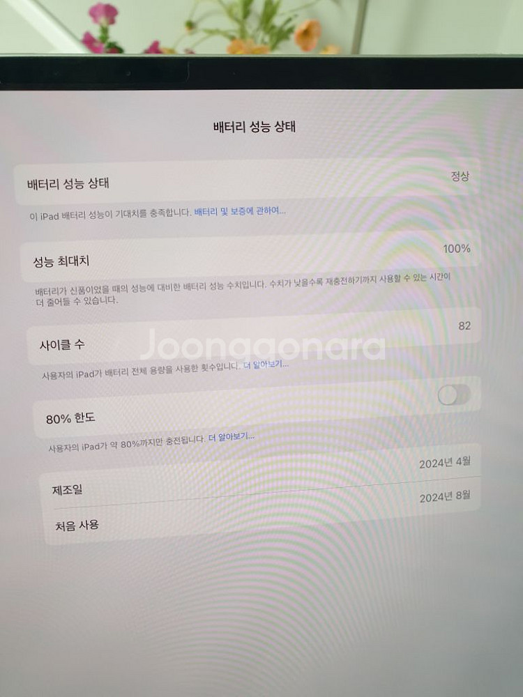 아이패드 프로 m4 13 512 wifi 애플펜슬 프로--5