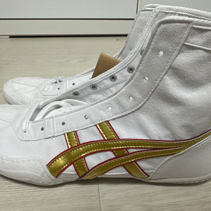 아식스 복싱화 285