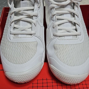 윌슨 남성 테니스화 255~260