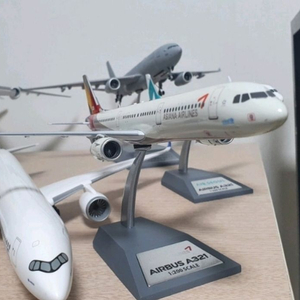Asiana Airlines A321 HL8279