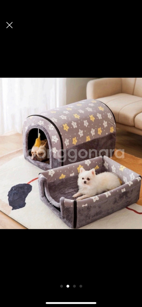 강아지 고양이 하우스 강아지집--1