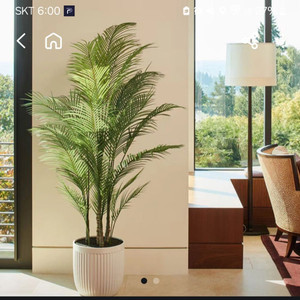 코스트코/켄차 야자인조식물 2m