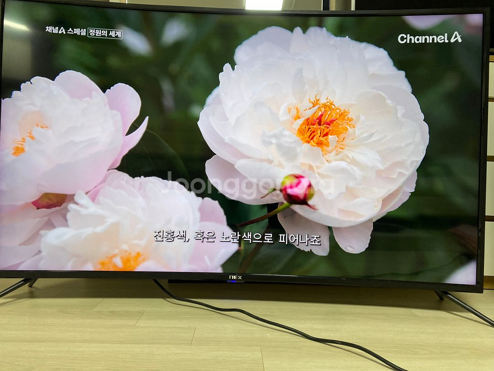 NEX 55인치 커브드 4K TV 19만--3