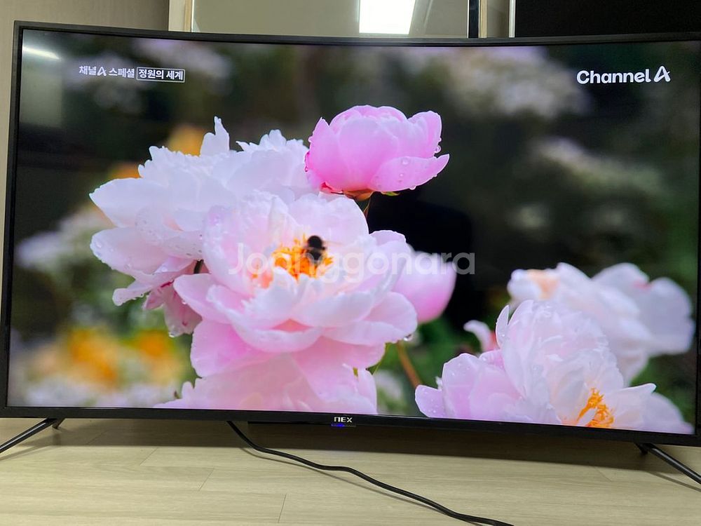 NEX 55인치 커브드 4K TV 19만--5