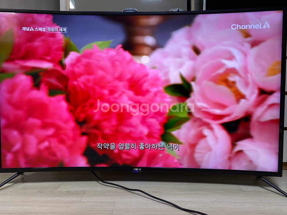 NEX 55인치 커브드 4K TV 19만--4